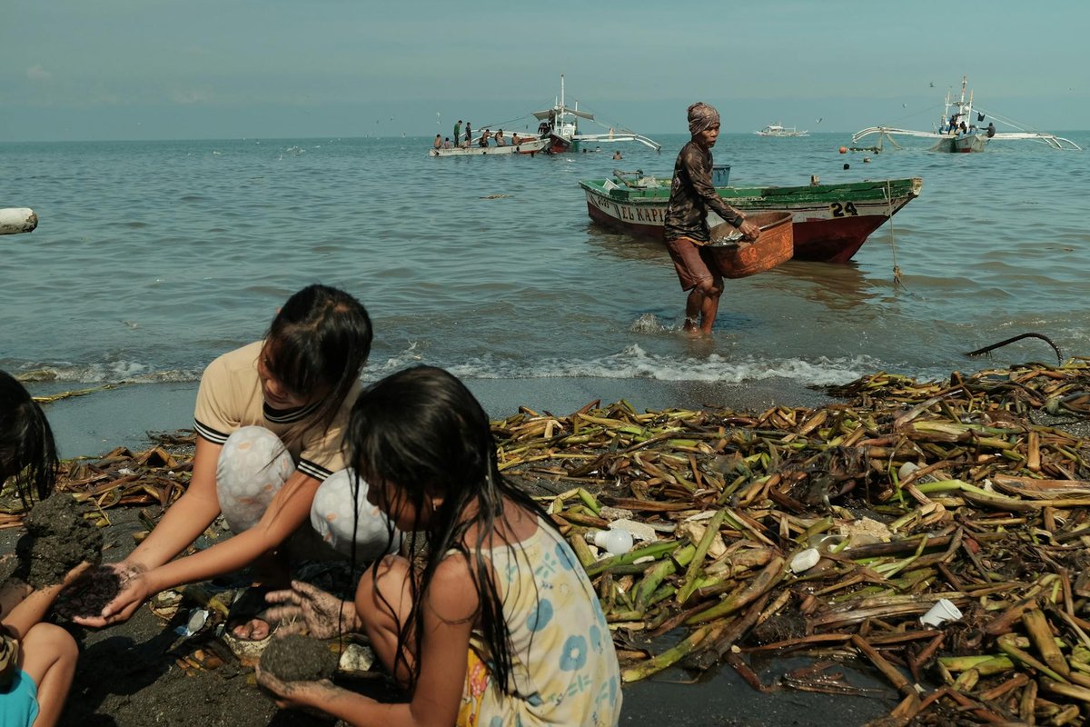 Free stock photo of adult male, asian people, fishing activity