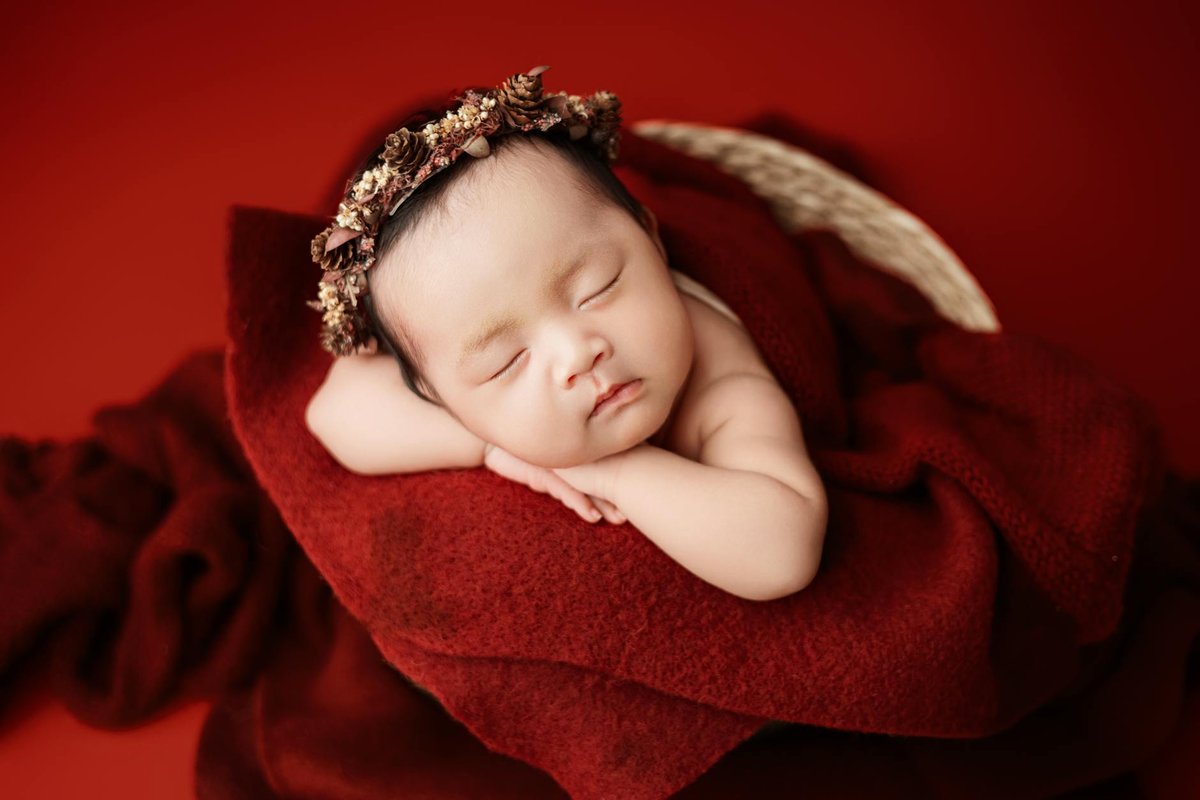 Free stock photo of angels, babies, baby