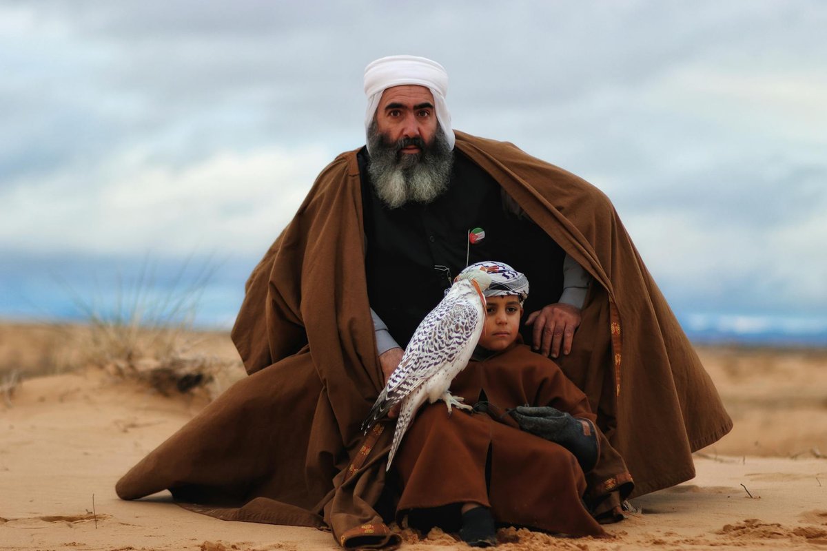 Free stock photo of al-shahma