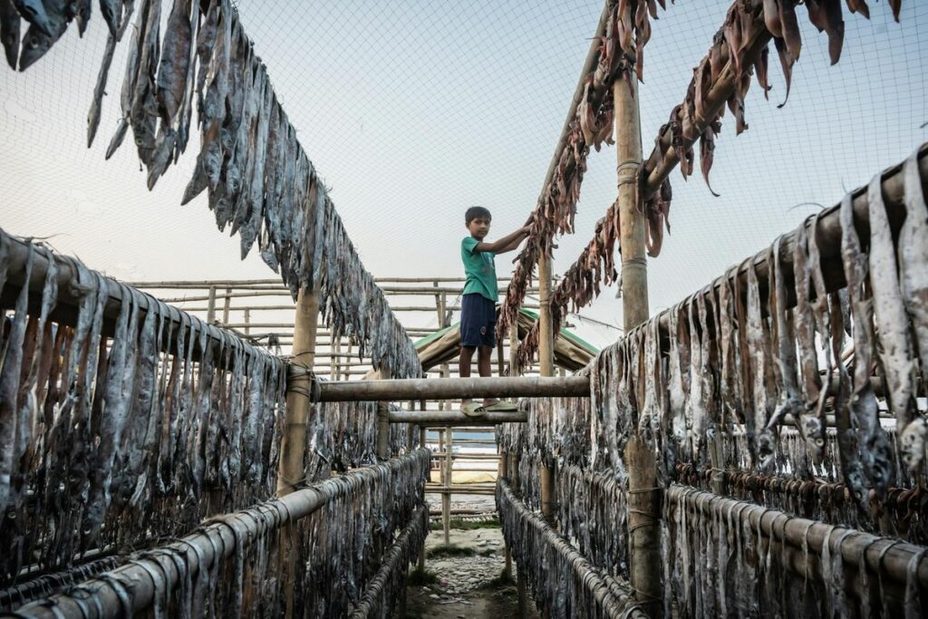 Free stock photo of bangladesh, children, object