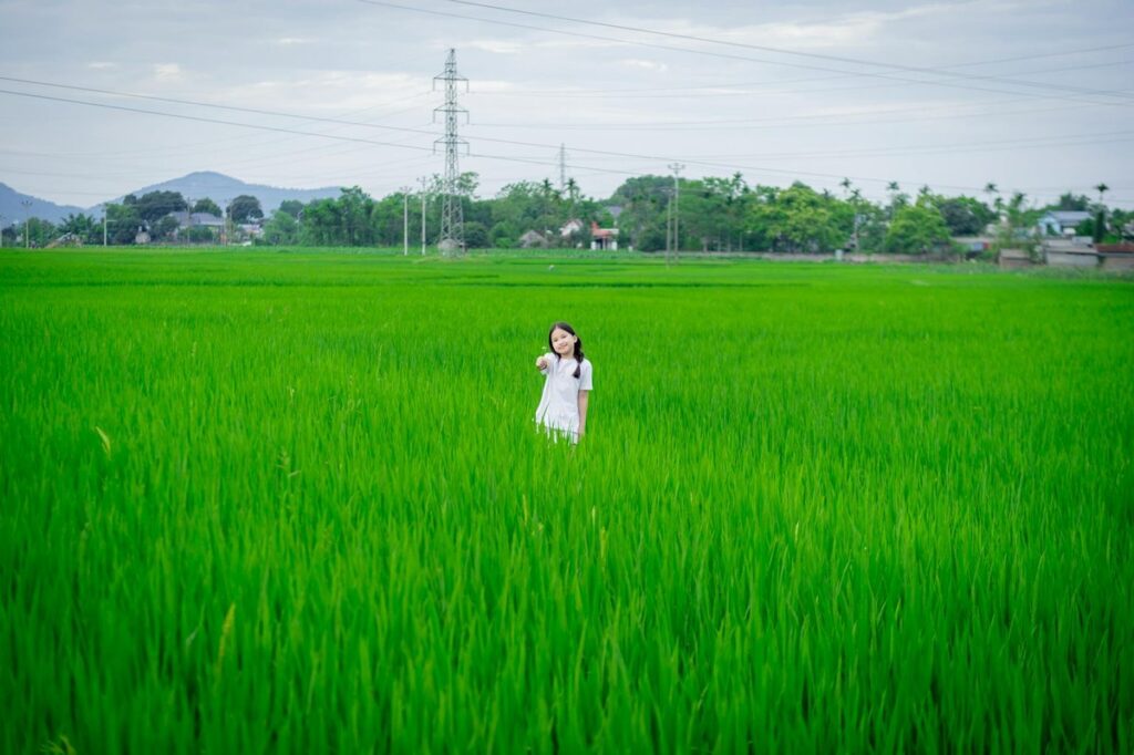 A girl stands in a lush green rice field near Hà Nội, capturing the essence of rural Vietnam.