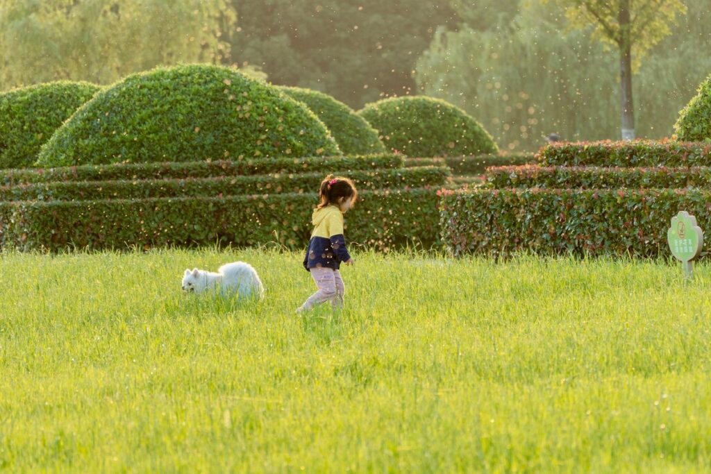 A child joyfully runs in a lush, sunlit park with a fluffy white dog, surrounded by trees.