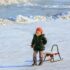 Adorable child in winter attire pulling a sled on a snowy day in Heilongjiang, China.