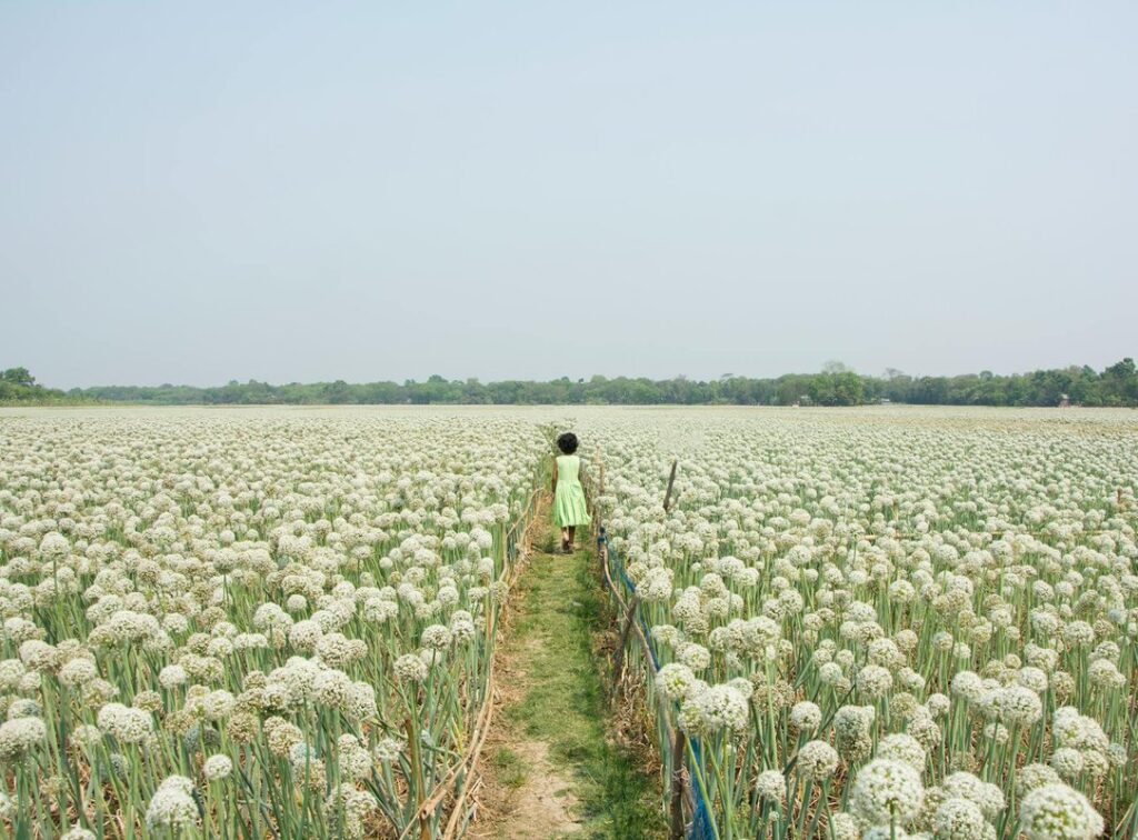 LGBTQ+ Surrogacy Laws Ohio: A Hilliard Guide - LGBTQ+ surrogacy laws Ohio