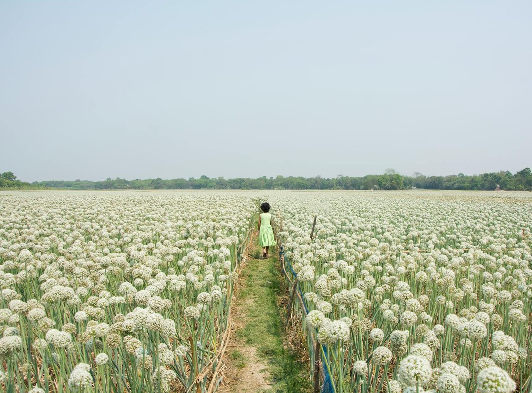 LGBTQ+ Surrogacy Laws Ohio: A Hilliard Guide - LGBTQ+ surrogacy laws Ohio