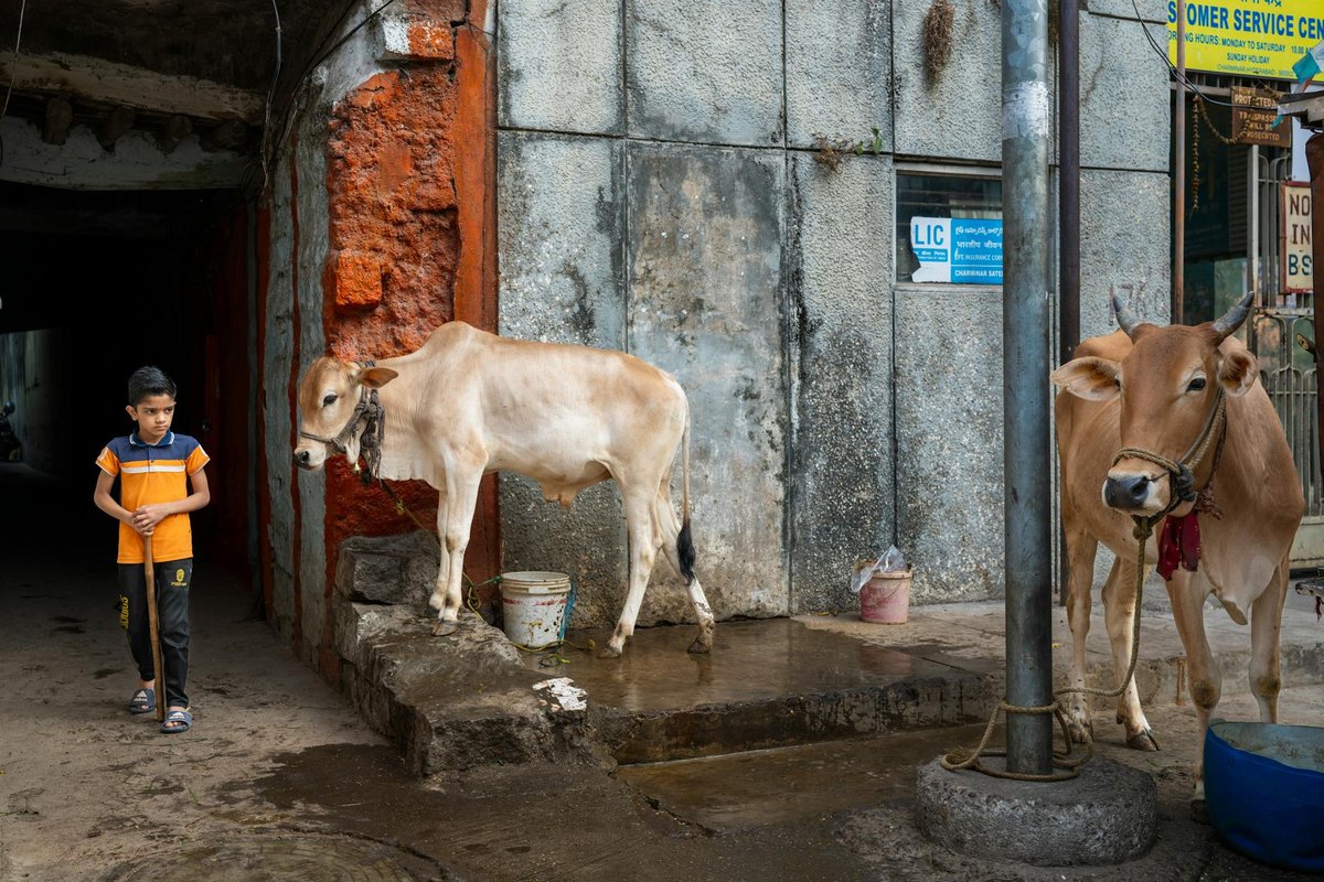 Securing Ohio LGBTQ+ Parental Rights: A Guide for Westerville Families - Ohio LGBTQ+ parental rights