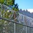 Close-up of barbed wire fence with clear blue sky background.