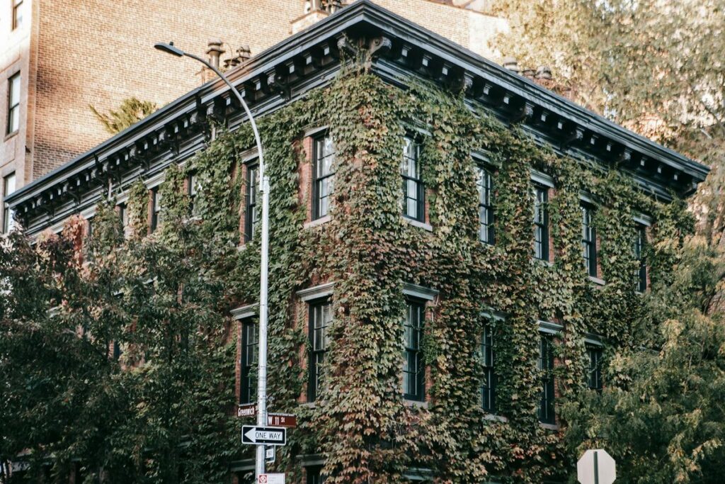 A serene street view of an ivy-covered historic building under daylight.