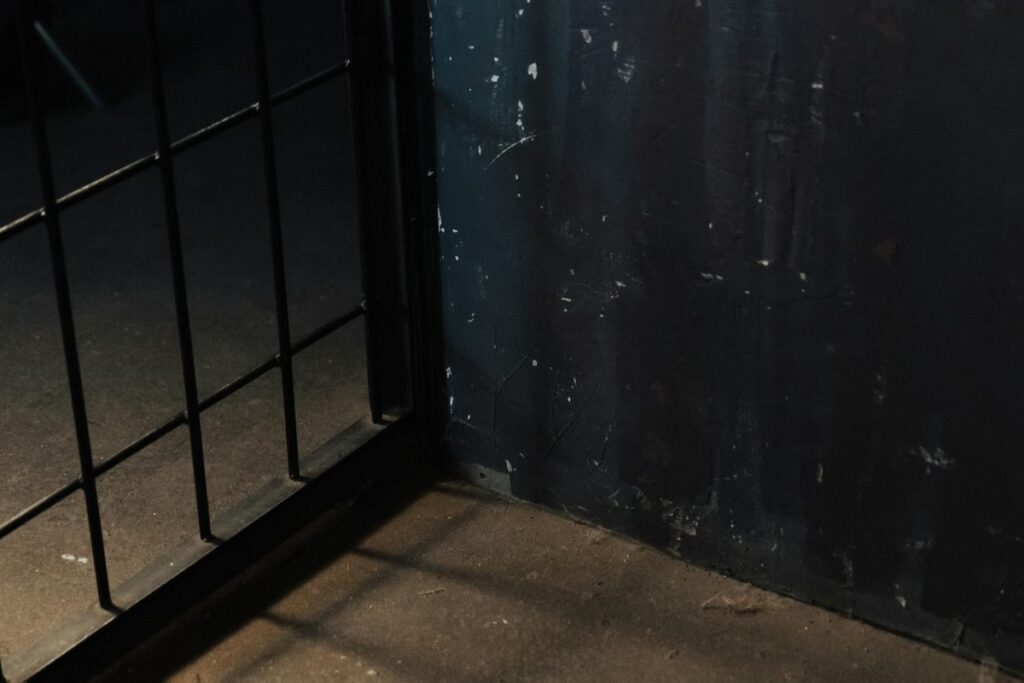 Moody image of metal bars casting shadows on a dark, grungy wall corner.