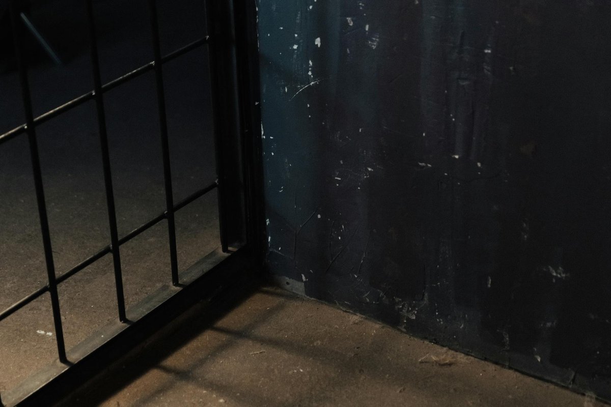Moody image of metal bars casting shadows on a dark, grungy wall corner.